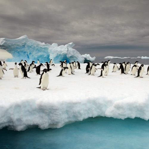 Antarctic Ice | Photo Essay